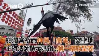 鎮瀾宮祈雨神鳥「商羊」突墜地 主持法師請示媽祖...第一擲就聖筊