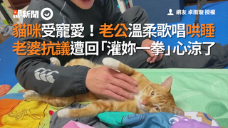 貓咪受寵愛！老公溫柔歌唱哄睡　 老婆抗議遭回「灌妳一拳」心涼了