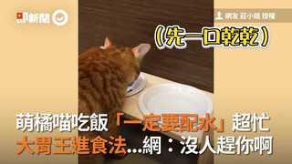 萌橘喵吃飯「一定要配水」超忙 　大胃王進食法...網：沒人趕你啊