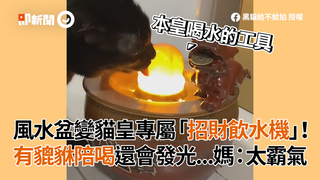 風水盆變貓皇專屬「招財飲水機」！有貔貅陪喝還會發光...媽：太霸氣