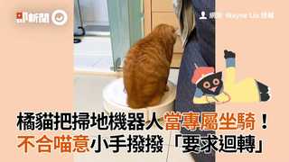 橘貓把掃地機器人當專屬坐騎！　不合喵意小手撥撥「要求迴轉」
