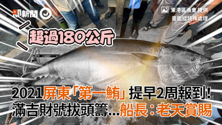 2021屏東「第一鮪」提早2周報到！　滿吉財號拔頭籌...船長：老天賞賜