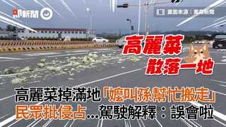高麗菜掉滿地「嬤叫孫幫忙搬走」　民眾批侵占...駕駛解釋：誤會啦
