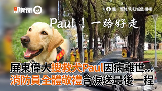 屏東偉大搜救犬Paul因病離世...消防員全體敬禮含淚送最後一程