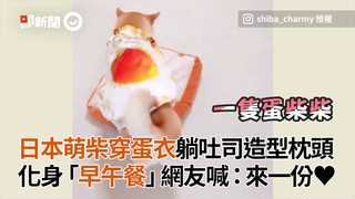 日本萌柴穿蛋衣躺吐司造型枕頭　化身「早午餐」網喊：來一份♥