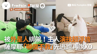 被外星人綁架！主人演技超浮誇　薩摩耶「嚇傻不救」先逃跑再說XD