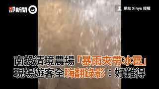 南投清境農場「暴雨夾帶冰雹」　現場遊客全嗨翻錄影：好難得！