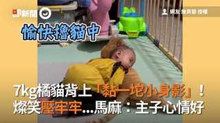 7kg橘貓背上「黏一坨小身影」！　燦笑壓牢牢...馬麻：主子心情好