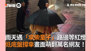 雨天遇「傘柴童子」路邊等紅燈　低底盤撐傘畫面萌翻萬名網友！