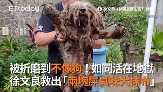被折磨到不像狗！如同活在地獄　徐文良救出「兩塊屎臭味大抹布」