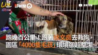 跑幾百公里！跟著徐文良去救狗 園區「4000隻毛孩」環境卻超整潔