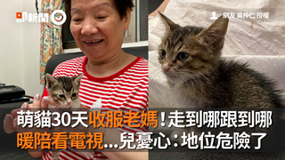 萌貓30天收服老媽！走到哪跟到哪　暖陪看電視...兒憂心：地位危險了