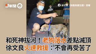 和死神拔河！老狗落水差點滅頂　徐文良火速救援：不會再受苦了