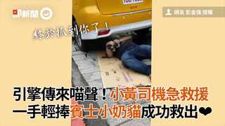 引擎傳來喵聲！小黃司機急救援　一手輕捧賓士小奶貓成功救出❤