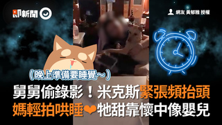 舅舅偷錄影！米克斯緊張頻抬頭 媽輕拍哄睡❤牠甜靠懷中像嬰兒