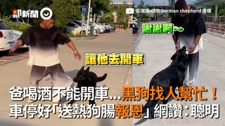 爸喝酒不能開車...黑狗找人幫忙！ 車停好「送熱狗腸報恩」網讚：聰明