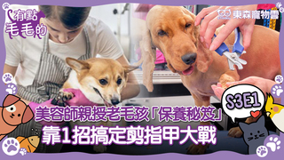 《有點毛毛的》S2E25 完整版｜老毛孩也能超可愛！美容師親授「保養秘笈」　靠1招搞定剪指甲大戰｜ETtoday寵物雲剪指甲大戰