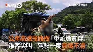 公車高速撞路樹「車頭遭貫穿」　乘客尖叫：駕駛一度意識不清
