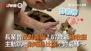 長輩曾反對養貓！67歲爺被收服　主動趴地對喵孫比讚：妳最棒～