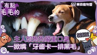 《有點毛毛的》S2E32 完整版｜主人怨狗狗嚴重口臭　美容師一掀嘴「牙齒卡一排黑毛」｜ETtoday寵物雲