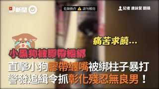 直擊小狗膠帶纏嘴被綁柱子暴打 警發追緝令抓彰化殘忍無良男！