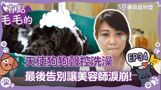 《有點毛毛的》S2E34 完整版｜天使狗狗聲控洗澡　最後告別「這舉動」讓美容師淚崩！｜ETtoday寵物雲