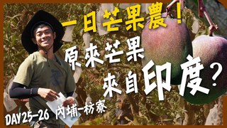 【融融歷險記】徒步環島中！你不知道的芒果三兩事！原來芒果來自印度！DAY25-26內埔-枋寮