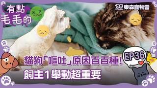 《有點毛毛的》S2E36 完整版｜貓狗「嘔吐」原因百百種！獸醫扮偵探揪出病因　飼主1舉動超重要