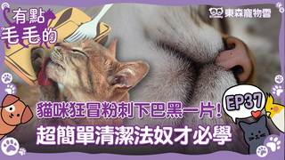 《有點毛毛的》S2E37 完整版｜貓咪「狂冒粉刺」下巴黑一片！超簡單「畫圈搓揉清潔法」奴才必學｜ETtoday寵物雲
