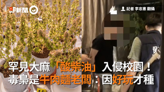 罕見大麻「酸柴油」入侵校園！　毒梟是牛肉麵老闆：因好玩才種