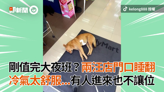剛值完大夜班？兩汪店門口睡翻 冷氣太舒服...有人進來也不讓位