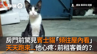 房門前驚見賓士貓「頻往屋內看」　天天跑來...他心疼：前租客養的？