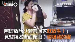 阿嬤放話「若帶回家就放生！」　見監視器畫面傻眼：偷吸我的貓