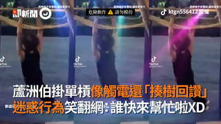 蘆洲伯掛單槓像觸電還「揍樹回讚」 迷惑行為笑翻網：誰快來幫忙啦XD