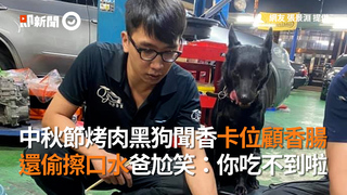 中秋節烤肉黑狗聞香卡位顧香腸　還偷擦口水爸尬笑：你吃不到啦
