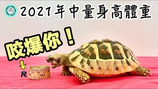 Jessica Law羅明嘉-2021年中龜龜量體重大作戰｜娜娜領養3週年
