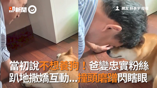 當初說不想養狗！爸變忠實粉絲　趴地撒嬌互動...撞頭磨蹭閃瞎眼