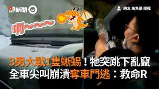 男大戰1隻蜥蜴！牠突跳下亂竄　全車尖叫崩潰奪車門逃：救命R