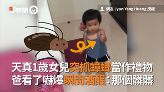 天真1歲女兒突抓蟑螂當作禮物　爸看了嚇爆瞬間酒醒：那個髒髒