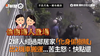 2婦人經過鄰居家「秒化身偷樹賊」 出2機車搬運...苦主怒：快點還