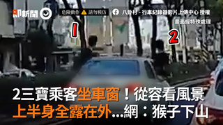 2三寶乘客坐車窗！從容看風景　上半身全露在外...網：猴子下山？