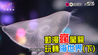 嗨Let'sGO_第六集_動漫瘋闖關 玩轉海世界(下)