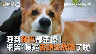 睡到嘴巴都歪掉！　網笑：嘎逼舌頭也故障了啦　