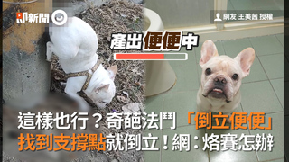 這樣也行？奇葩法鬥「倒立便便」　找到支撐點就倒立！網：烙賽怎辦