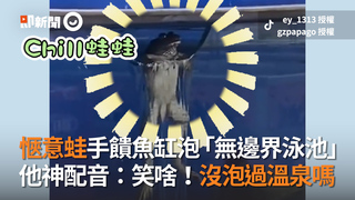 愜意蛙手饋魚缸泡「無邊界泳池」　他神配音：笑啥！沒泡過溫泉嗎