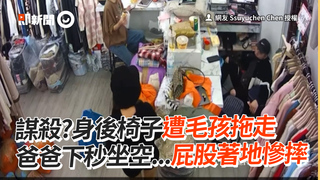 謀殺?身後椅子遭毛孩拖走　爸爸下秒坐空...屁股著地慘摔