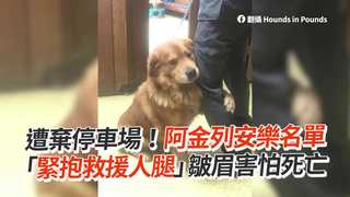 遭棄停車場！阿金列安樂名單　「緊抱救援人腿」皺眉害怕死亡