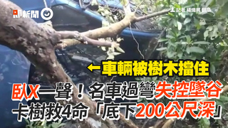 臥X一聲！名車過彎失控墜谷　卡樹救4命「底下200公尺深」