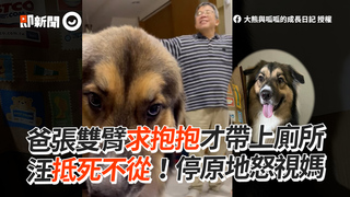 爸張雙臂求抱抱才帶上廁所　汪抵死不從！停原地怒視媽