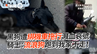 黑狗遭綁機車拖行濺血哀號　騎士：流浪狗跑到我家不走！